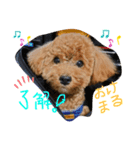 ららららララちゃん♫（個別スタンプ：8）