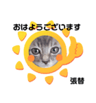 はり猫（個別スタンプ：1）