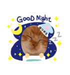 はり猫（個別スタンプ：2）