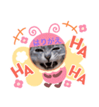はり猫（個別スタンプ：7）