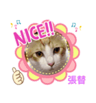 はり猫（個別スタンプ：8）