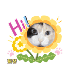 はり猫（個別スタンプ：13）