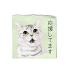 絵手紙の絵1敬語（個別スタンプ：14）