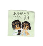 絵手紙の絵1敬語（個別スタンプ：16）