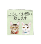 絵手紙の絵1敬語（個別スタンプ：17）