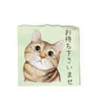 絵手紙の絵1敬語（個別スタンプ：27）