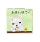 絵手紙の絵1敬語（個別スタンプ：30）