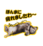 関西弁を使うウチん家のミニチュアダックス（個別スタンプ：19）