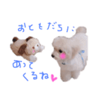 赤ちゃんプードルのラテちゃん1（個別スタンプ：10）