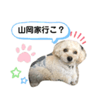 王子うずらスタンプ（個別スタンプ：18）