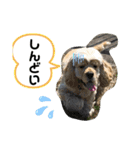 王子うずらスタンプ（個別スタンプ：21）