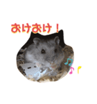 はむこ♀（個別スタンプ：2）