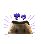 はむこ♀（個別スタンプ：9）