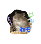 はむこ♀（個別スタンプ：15）
