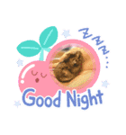 ダーちゃんとハムちくわん（個別スタンプ：5）