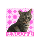 ダーちゃんとハムちくわん（個別スタンプ：9）