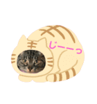 ダーちゃんとハムちくわん（個別スタンプ：12）