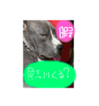 ぶぅる（個別スタンプ：3）