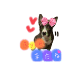 ぶぅる（個別スタンプ：6）