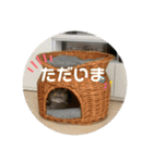 ブリティシュ ふわちゃん（個別スタンプ：2）