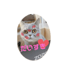ブリティシュ ふわちゃん（個別スタンプ：9）
