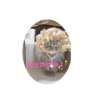 ブリティシュ ふわちゃん（個別スタンプ：22）