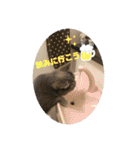 ブリティシュ ふわちゃん（個別スタンプ：26）