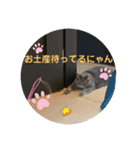 ブリティシュ ふわちゃん（個別スタンプ：38）