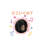 愛しのシェリー（個別スタンプ：2）