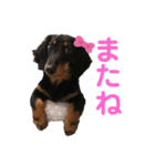 愛しのシェリー（個別スタンプ：7）