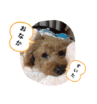 わが家の犬たちNRK（個別スタンプ：15）