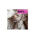 なんなんだよこいつって言われる系スタンプ（個別スタンプ：3）