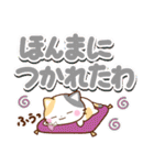 京都の三毛猫さん 大きな文字セット（個別スタンプ：13）
