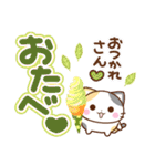 京都の三毛猫さん 大きな文字セット（個別スタンプ：14）
