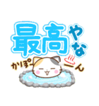 京都の三毛猫さん 大きな文字セット（個別スタンプ：34）