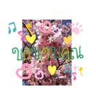 サクランボー（個別スタンプ：1）