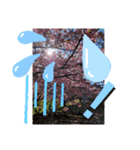 サクランボー（個別スタンプ：4）