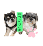 どんくろここ時々みる。（個別スタンプ：2）