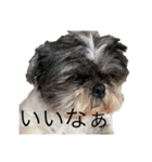 どんくろここ時々みる。（個別スタンプ：14）