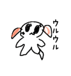 まいにちわんころ（個別スタンプ：16）