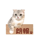 うちのにゃんズ。（個別スタンプ：23）
