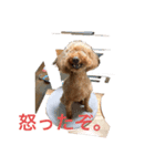 のむちんファミリー（個別スタンプ：4）