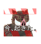 申年の猪ィ‼（個別スタンプ：18）