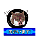 申年の猪ィ‼（個別スタンプ：22）