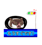申年の猪ィ‼（個別スタンプ：23）