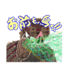 申年の猪ィ‼（個別スタンプ：28）