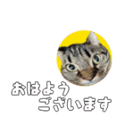小さなお友達のスタンプ4（個別スタンプ：1）