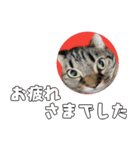 小さなお友達のスタンプ4（個別スタンプ：2）