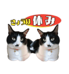 小さなお友達のスタンプ4（個別スタンプ：4）