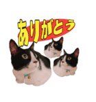 小さなお友達のスタンプ4（個別スタンプ：10）